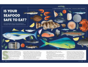 Feature Design: Is Your Seafood Safe to Eat?