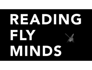 Reading fly minds in a mini-IMAX theater